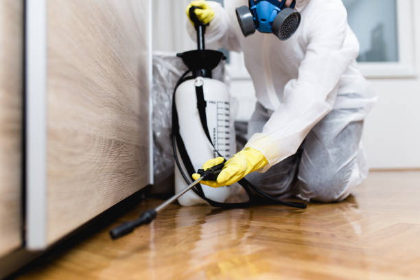 Best Affordable Pest Control Services  in Smithville, OH