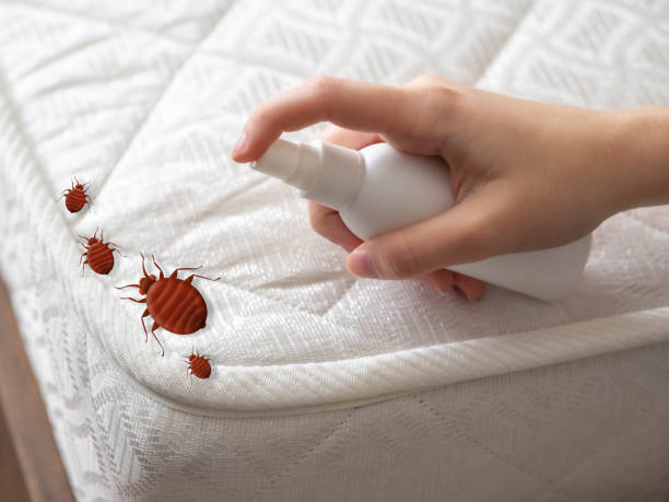 Best Residential Pest Control  in Smithville, OH