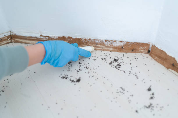 Smithville, OH Pest Control Company